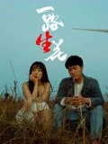 一路生花 線上看