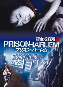 婬女收容所2 線上看