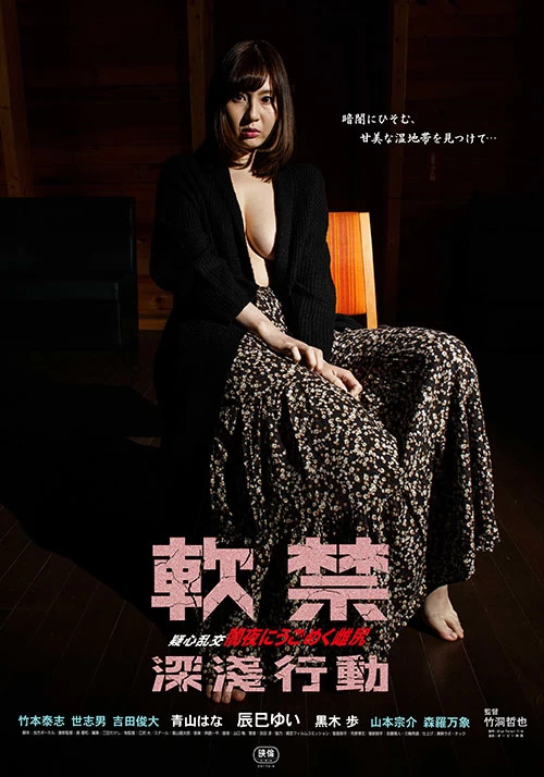 軟禁：深淺行動 線上看
